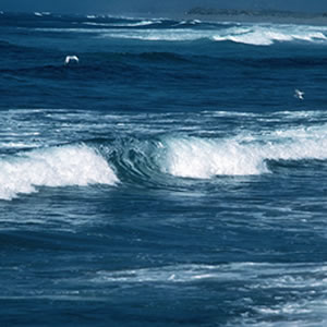 Waves crashing